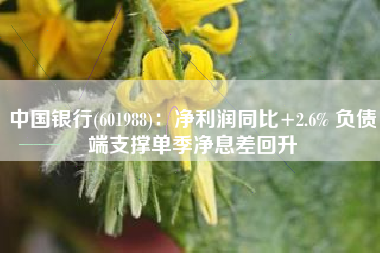 中国银行(601988)：净利润同比+2.6% 负债端支撑单季净息差回升