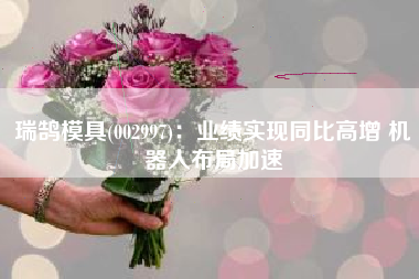 瑞鹄模具(002997)：业绩实现同比高增 机器人布局加速
