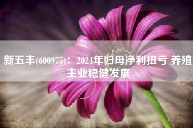 新五丰(600975)：2024年归母净利扭亏 养殖主业稳健发展