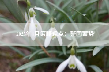 2025年4月策略观点：整固蓄势