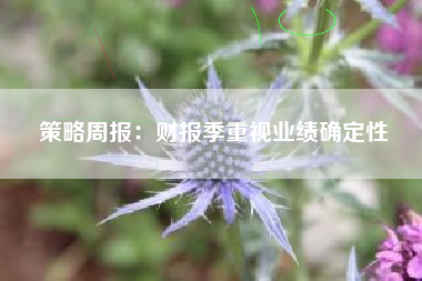 策略周报：财报季重视业绩确定性