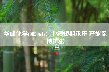 华峰化学(002064)：业绩短期承压 产能保持扩张