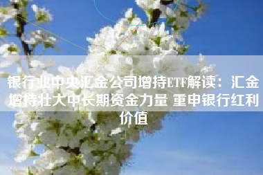 银行业中央汇金公司增持ETF解读:汇金增持壮大中长期资金力量 重申银行红利价值 银行业中央汇金公司增持ETF解读:汇金增持壮大中长期资金力量 重申银行红利价值