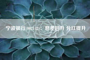 宁波银行(002142)：息差回升 分红提升