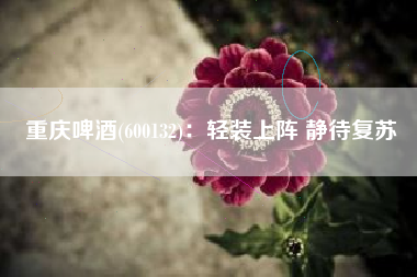 重庆啤酒(600132)：轻装上阵 静待复苏