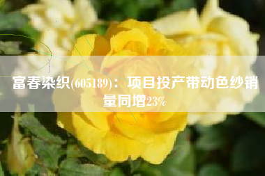 富春染织(605189)：项目投产带动色纱销量同增23%
