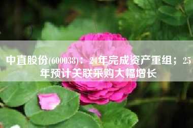 中直股份(600038)：24年完成资产重组；25年预计关联采购大幅增长