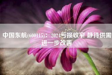 中国东航(600115)：2024亏损收窄 静待供需进一步改善