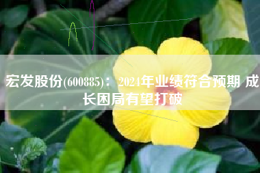 宏发股份(600885)：2024年业绩符合预期 成长困局有望打破