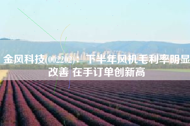 金风科技(002202)：下半年风机毛利率明显改善 在手订单创新高