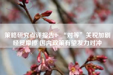 策略研究点评报告：“对等”关税加剧经贸摩擦 国内政策有望发力对冲