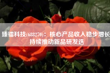 臻镭科技(688270)：核心产品收入稳步增长 持续推动新品研发迭