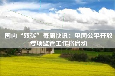 国内“双碳”每周快讯：电网公平开放专项监管工作将启动