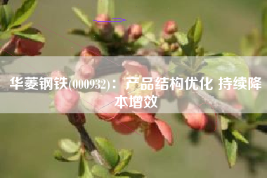 华菱钢铁(000932)：产品结构优化 持续降本增效
