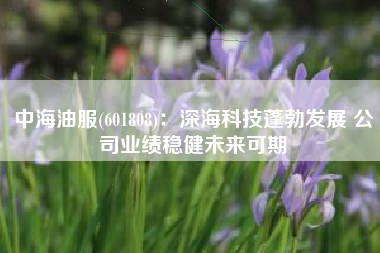中海油服(601808)：深海科技蓬勃发展 公司业绩稳健未来可期