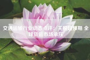 交通运输行业动态点评：关税超预期 全球货运市场承压
