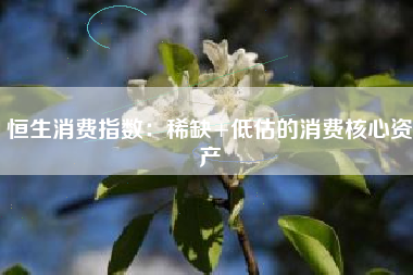 恒生消费指数：稀缺+低估的消费核心资产
