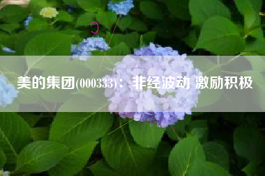 美的集团(000333)：非经波动 激励积极