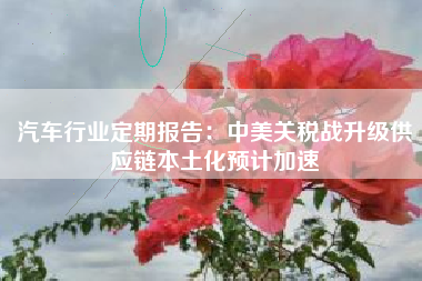 汽车行业定期报告：中美关税战升级供应链本土化预计加速