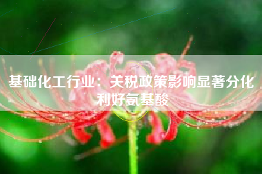基础化工行业：关税政策影响显著分化 利好氨基酸