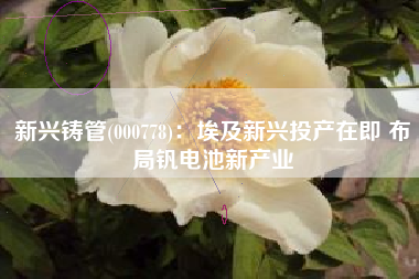 新兴铸管(000778)：埃及新兴投产在即 布局钒电池新产业