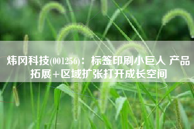 炜冈科技(001256)：标签印刷小巨人 产品拓展+区域扩张打开成长空间