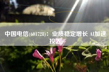 中国电信(601728)：业绩稳定增长 AI加速投入