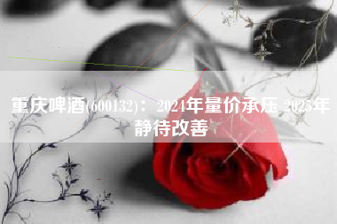 重庆啤酒(600132)：2024年量价承压 2025年静待改善