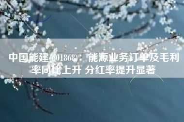 中国能建(601868)：能源业务订单及毛利率同比上升 分红率提升显著