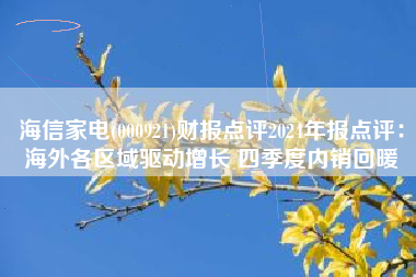 海信家电(000921)财报点评2024年报点评：海外各区域驱动增长 四季度内销回暖
