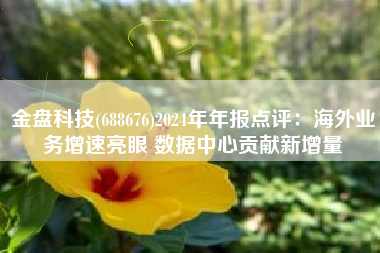 金盘科技(688676)2024年年报点评：海外业务增速亮眼 数据中心贡献新增量