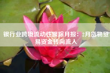 银行业跨境流动性跟踪月报：2月货物贸易资金转向流入