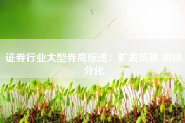证券行业大型券商综述：扩表筑基 演绎分化