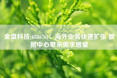 金盘科技(688676)：海外业务快速扩张 数据中心带来需求增量