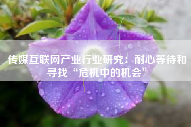 传媒互联网产业行业研究：耐心等待和寻找“危机中的机会”