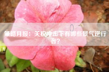 策略月报：关税冲击下有哪些景气逆行者？