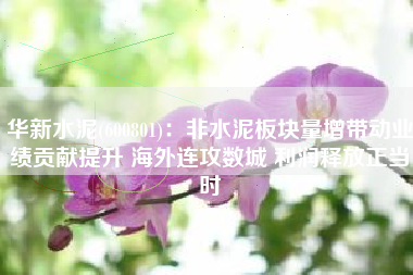 华新水泥(600801)：非水泥板块量增带动业绩贡献提升 海外连攻数城 利润释放正当时