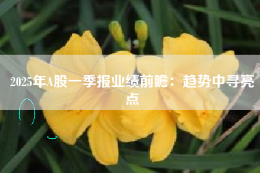 2025年A股一季报业绩前瞻：趋势中寻亮点