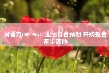 易普力(002096)：业绩符合预期 并购整合逐步落地