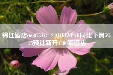 锦江酒店(600754)：24Q4REVPAR同比下滑5% 25预计新开1300家酒店