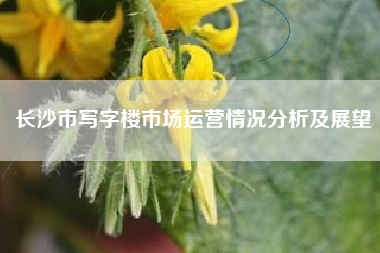 长沙市写字楼市场运营情况分析及展望