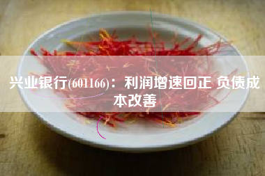 兴业银行(601166)：利润增速回正 负债成本改善