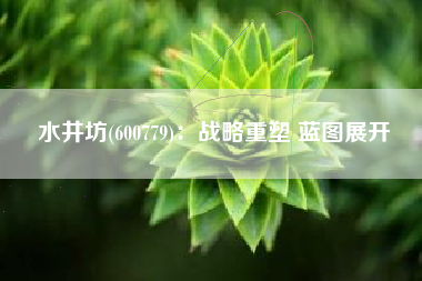 水井坊(600779)：战略重塑 蓝图展开