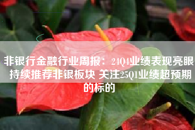 非银行金融行业周报：24Q4业绩表现亮眼 持续推荐非银板块 关注25Q1业绩超预期的标的