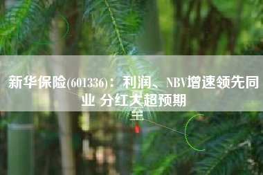新华保险(601336)：利润、NBV增速领先同业 分红大超预期