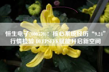 恒生电子(600570)：核心系统经历“9.24”行情检验 DEEPSEEK赋能开启新空间