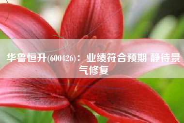华鲁恒升(600426)：业绩符合预期 静待景气修复
