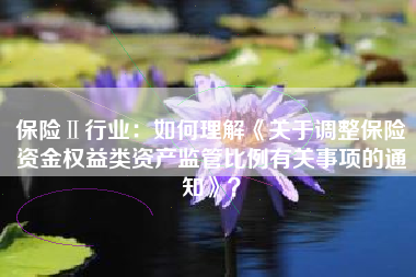 保险Ⅱ行业：如何理解《关于调整保险资金权益类资产监管比例有关事项的通知》？