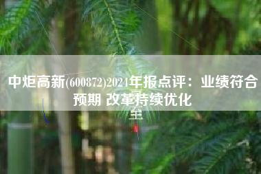 中炬高新(600872)2024年报点评：业绩符合预期 改革持续优化