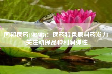 国邦医药(605507)：医药特色原料药发力 关注动保品种利润弹性